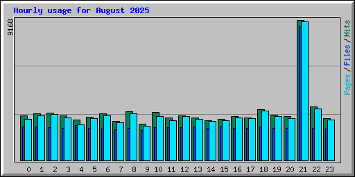 Hourly usage for August 2025