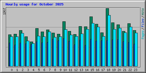 Hourly usage for October 2025