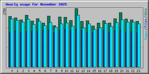 Hourly usage for November 2025